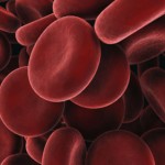 blood-cells_450x